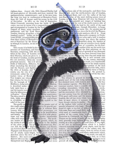 Penguin Snorkel Book Print White Modern Wood Framed Art Print with Double Matting by Fab Funky