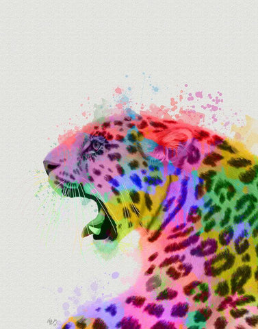 Leopard Rainbow Splash 2 Black Ornate Wood Framed Art Print with Double Matting by Fab Funky