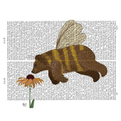 Bear Bee Book Print Gold Ornate Wood Framed Art Print with Double Matting by Fab Funky