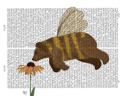 Bear Bee Book Print White Modern Wood Framed Art Print with Double Matting by Fab Funky