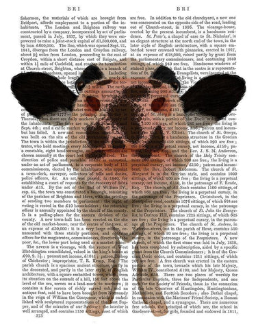 Nosey Cow 1 Book Print Black Ornate Wood Framed Art Print with Double Matting by Fab Funky