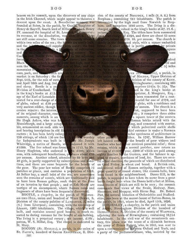 Nosey Cow 2 Book Print White Modern Wood Framed Art Print with Double Matting by Fab Funky
