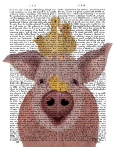 Pig and Ducklings Book Print White Modern Wood Framed Art Print with Double Matting by Fab Funky