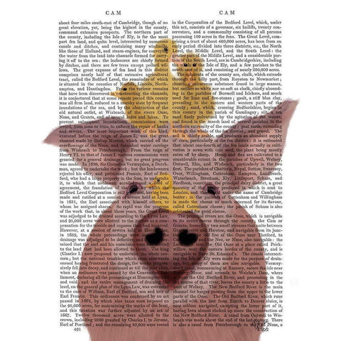 Pig and Ducklings Book Print Black Modern Wood Framed Art Print with Double Matting by Fab Funky
