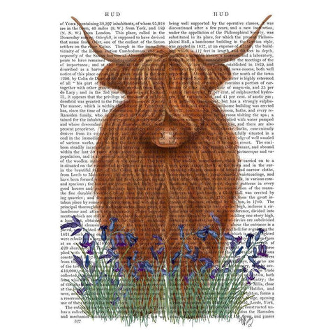 Highland Cow, Bluebell Book Print Black Modern Wood Framed Art Print with Double Matting by Fab Funky