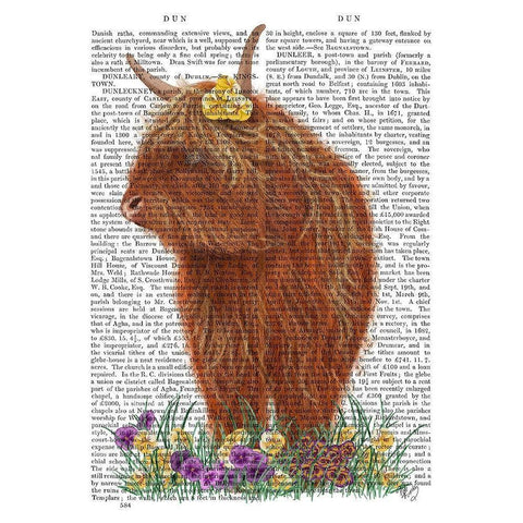 Highland Cow, Pansy Book Print White Modern Wood Framed Art Print by Fab Funky