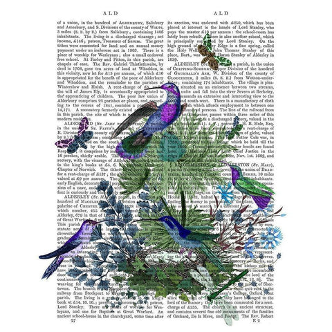 Tropical Birds Nest 1 Book Print Gold Ornate Wood Framed Art Print with Double Matting by Fab Funky