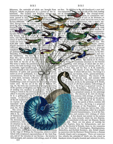 Goose Hot Air Balloon Book Print Black Ornate Wood Framed Art Print with Double Matting by Fab Funky