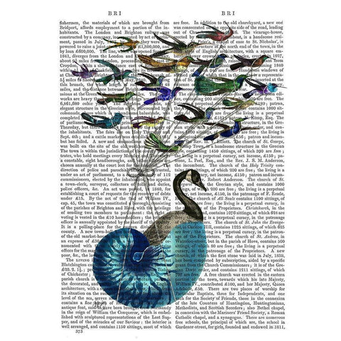 Goose Hot Air Balloon Book Print Black Modern Wood Framed Art Print with Double Matting by Fab Funky