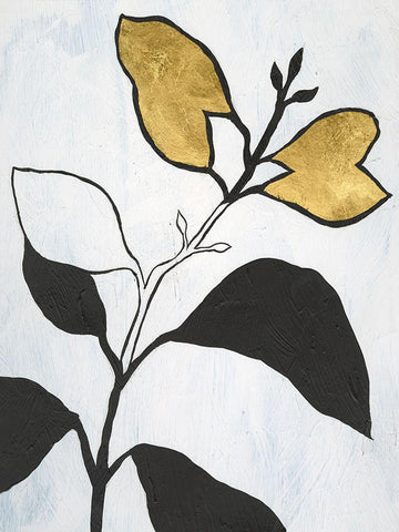 Hybrid Annuals I White Modern Wood Framed Art Print with Double Matting by Lam, Vanna