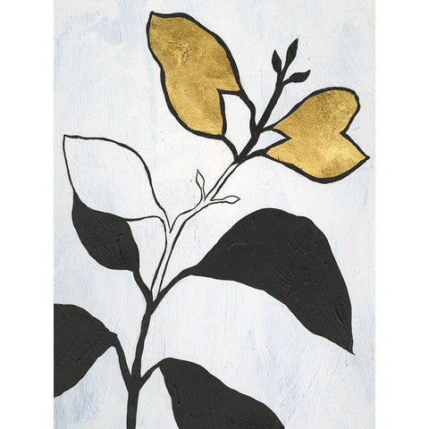 Hybrid Annuals I Black Modern Wood Framed Art Print with Double Matting by Lam, Vanna