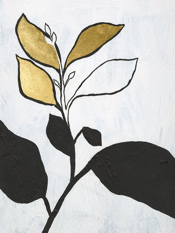 Hybrid Annuals II Black Ornate Wood Framed Art Print with Double Matting by Lam, Vanna