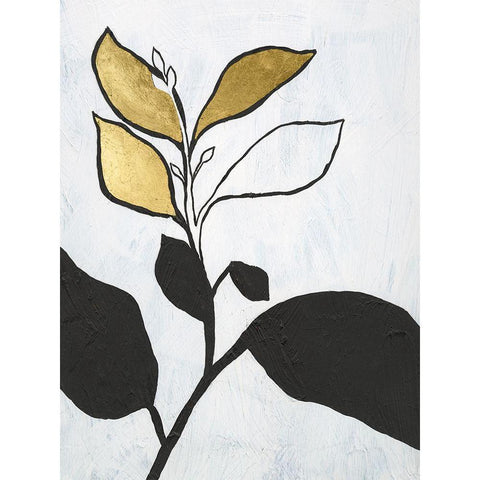 Hybrid Annuals II Black Modern Wood Framed Art Print with Double Matting by Lam, Vanna