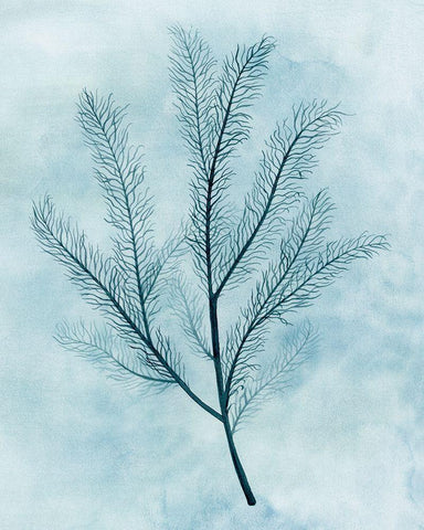 Clouds and Coral II Black Ornate Wood Framed Art Print with Double Matting by Popp, Grace