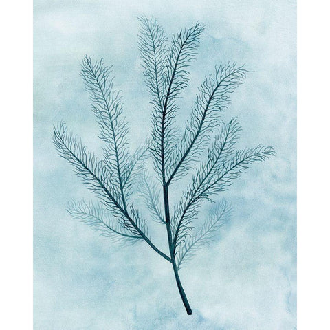 Clouds and Coral II Black Modern Wood Framed Art Print by Popp, Grace