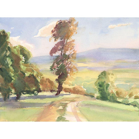 Vermont Vista I White Modern Wood Framed Art Print by Calcasola, Stephen