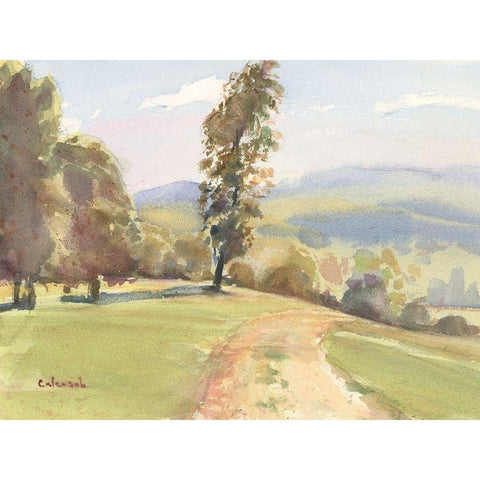 Vermont Vista II White Modern Wood Framed Art Print by Calcasola, Stephen