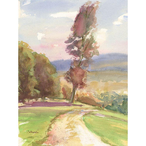 Vermont Vista III Black Modern Wood Framed Art Print by Calcasola, Stephen