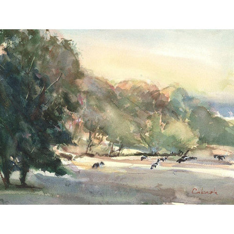 Sunlit Pasture I Black Modern Wood Framed Art Print by Calcasola, Stephen