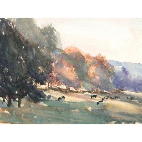 Sunlit Pasture II White Modern Wood Framed Art Print by Calcasola, Stephen