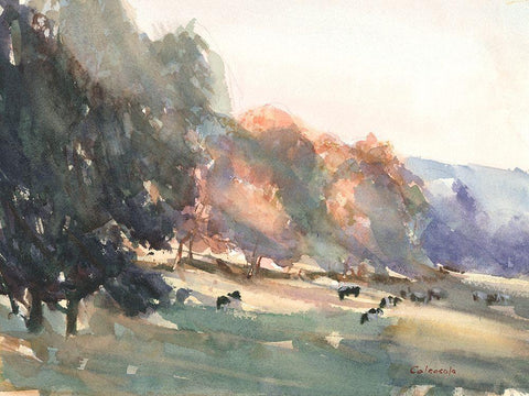 Sunlit Pasture II White Modern Wood Framed Art Print with Double Matting by Calcasola, Stephen