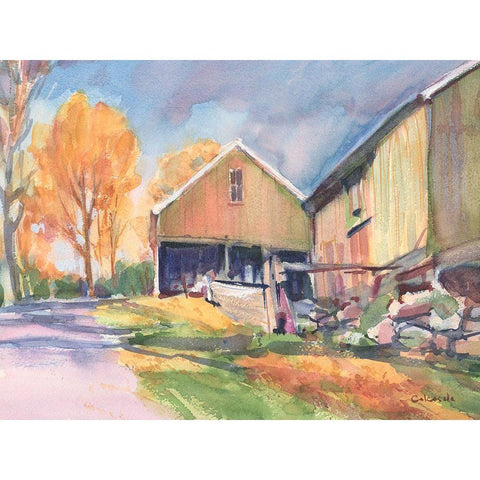 Country Road Black Modern Wood Framed Art Print with Double Matting by Calcasola, Stephen