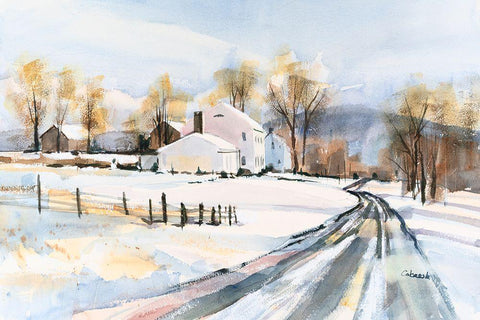 Snowed In White Modern Wood Framed Art Print with Double Matting by Calcasola, Stephen