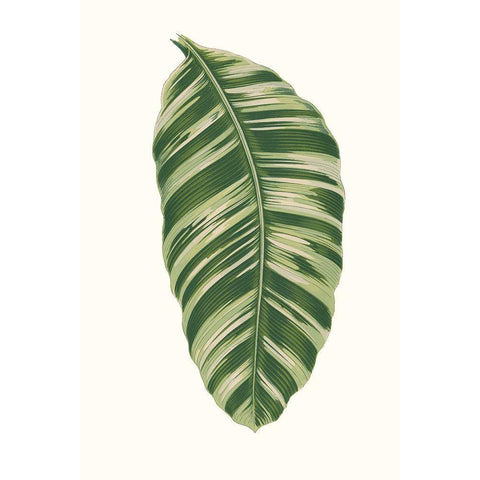 Collected Leaves XI White Modern Wood Framed Art Print by Vision Studio