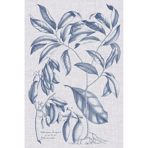 Navy And Linen Botanical I Black Modern Wood Framed Art Print with Double Matting by Vision Studio