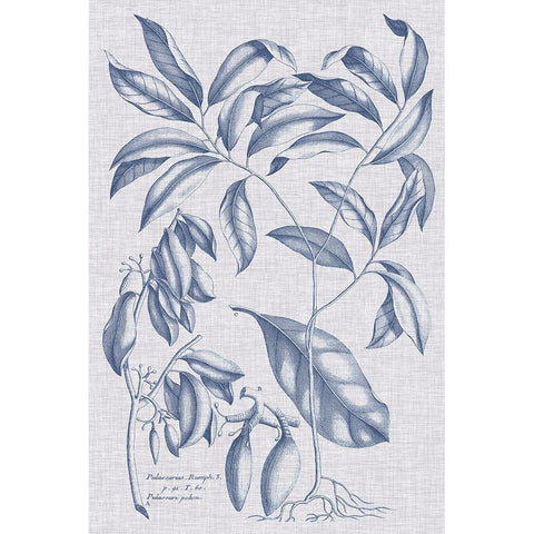 Navy And Linen Botanical I Black Modern Wood Framed Art Print by Vision Studio