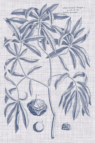 Navy And Linen Botanical V Black Ornate Wood Framed Art Print with Double Matting by Vision Studio