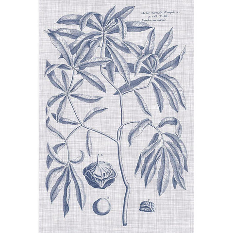 Navy And Linen Botanical V Black Modern Wood Framed Art Print by Vision Studio