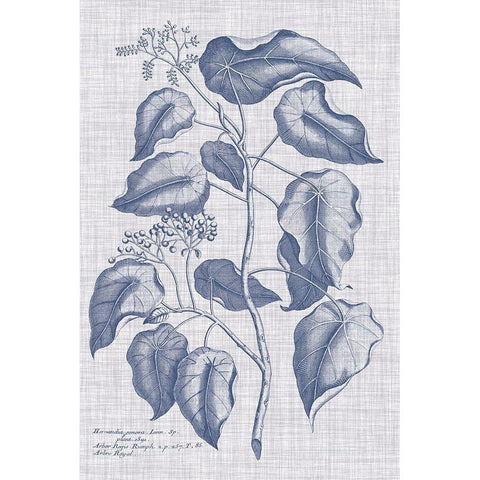 Navy And Linen Botanical VIII Black Modern Wood Framed Art Print by Vision Studio