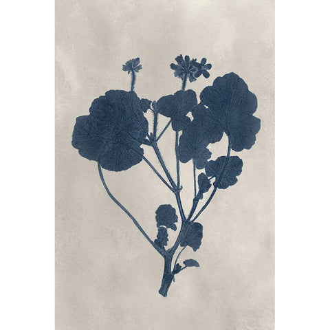 Navy Pressed Flowers II Black Modern Wood Framed Art Print by Vision Studio