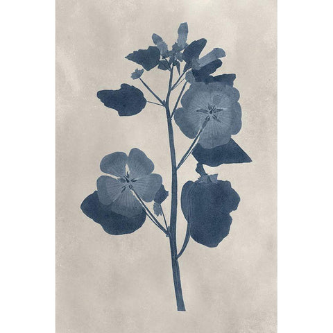 Navy Pressed Flowers V Black Modern Wood Framed Art Print by Vision Studio