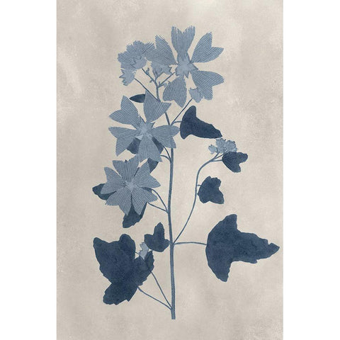 Navy Pressed Flowers VII Black Modern Wood Framed Art Print with Double Matting by Vision Studio