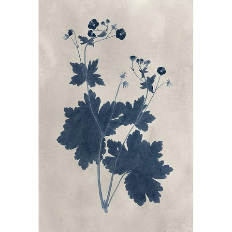 Navy Pressed Flowers VIII Black Modern Wood Framed Art Print by Vision Studio