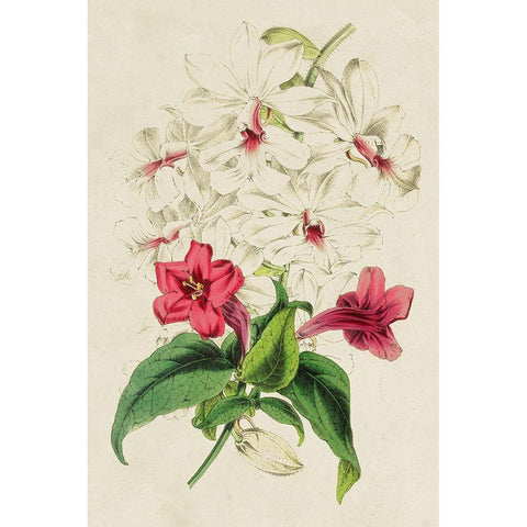 Paxton Botanical Pairing VI Gold Ornate Wood Framed Art Print with Double Matting by Paxton