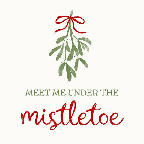 Mistletoe Wishes I White Modern Wood Framed Art Print with Double Matting by Barnes, Victoria