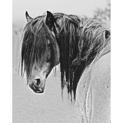 Freedom White Modern Wood Framed Art Print by Linden, Sally