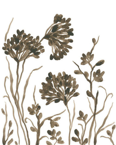 Sepia Petal Silhouettes I White Modern Wood Framed Art Print with Double Matting by Vess, June Erica