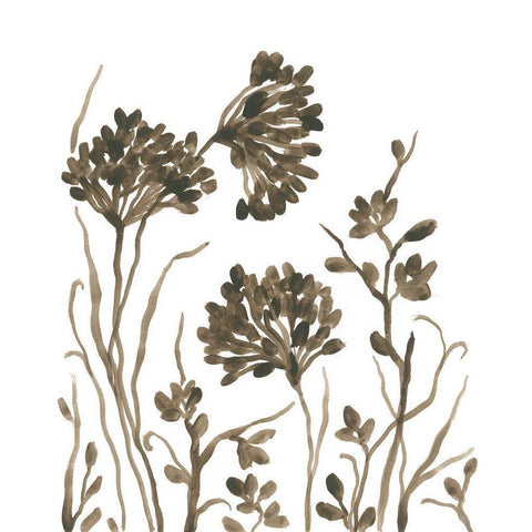 Sepia Petal Silhouettes I White Modern Wood Framed Art Print by Vess, June Erica