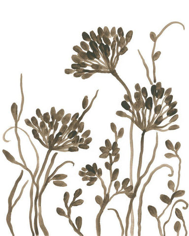 Sepia Petal Silhouettes II White Modern Wood Framed Art Print with Double Matting by Vess, June Erica