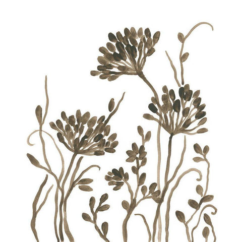 Sepia Petal Silhouettes II White Modern Wood Framed Art Print by Vess, June Erica