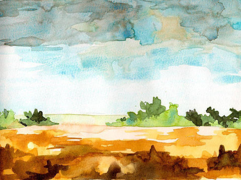 Open Skies I Black Ornate Wood Framed Art Print with Double Matting by McCreery, Paul