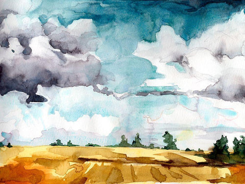 Open Skies III Black Ornate Wood Framed Art Print with Double Matting by McCreery, Paul