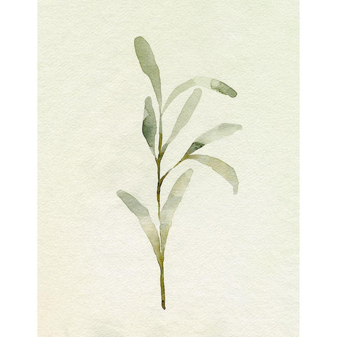 Olive Leaves I Gold Ornate Wood Framed Art Print with Double Matting by Caroline, Emma