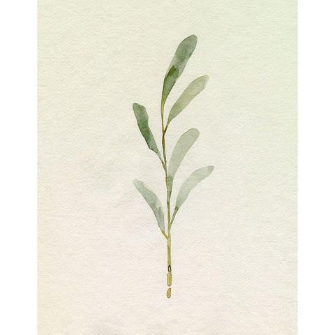Olive Leaves II White Modern Wood Framed Art Print by Caroline, Emma