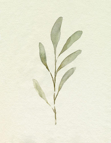 Olive Leaves IV White Modern Wood Framed Art Print with Double Matting by Caroline, Emma