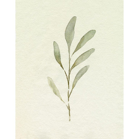 Olive Leaves IV Gold Ornate Wood Framed Art Print with Double Matting by Caroline, Emma